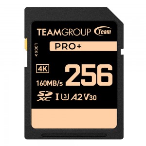 TEAM GROUP SDXC UHS-I U3 V30 512GB